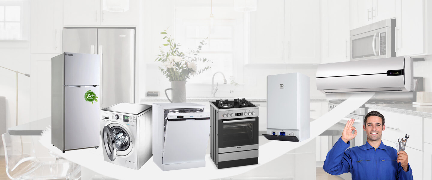 Basınsitesi Vaillant Servisi